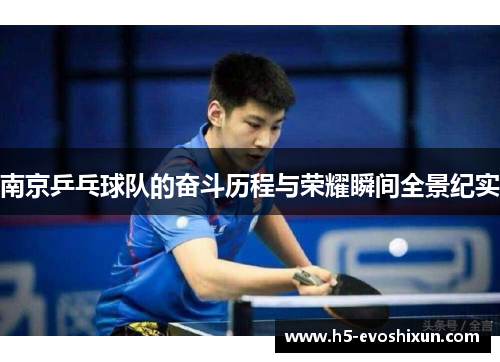 南京乒乓球队的奋斗历程与荣耀瞬间全景纪实