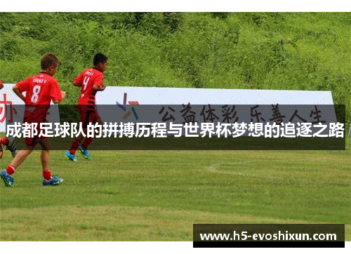 成都足球队的拼搏历程与世界杯梦想的追逐之路